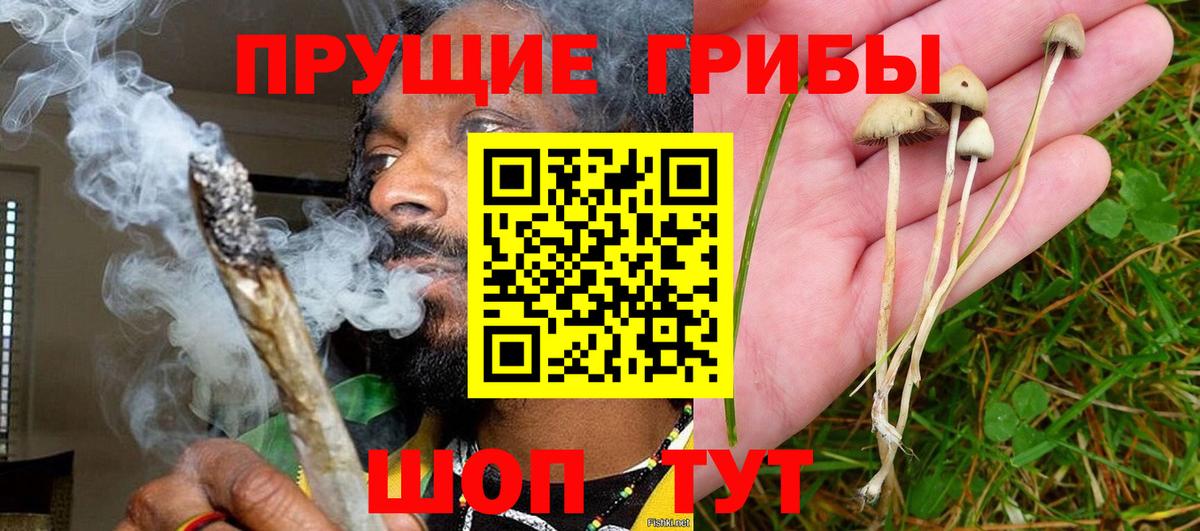 Галлюциногенные грибы Magic Shrooms Корсаков