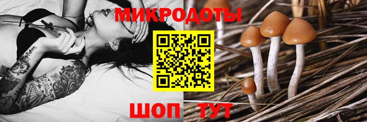 Галлюциногенные грибы прущие грибы  Галлюциногенные грибы ЛСД  Вход с VPN  Корсаков 